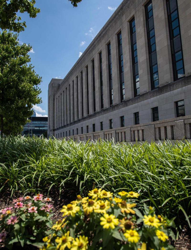 Cira Square Flowers